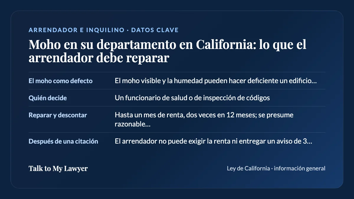 Tarjeta de datos clave: El moho como defecto; Quién decide; Reparar y descontar; Después de una citación
