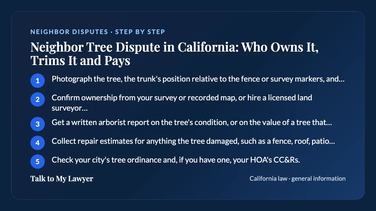 Step-by-step card: 5 steps, starting with "Photograph the tree, the trunk's position relative to the fence or survey markers, and any…"