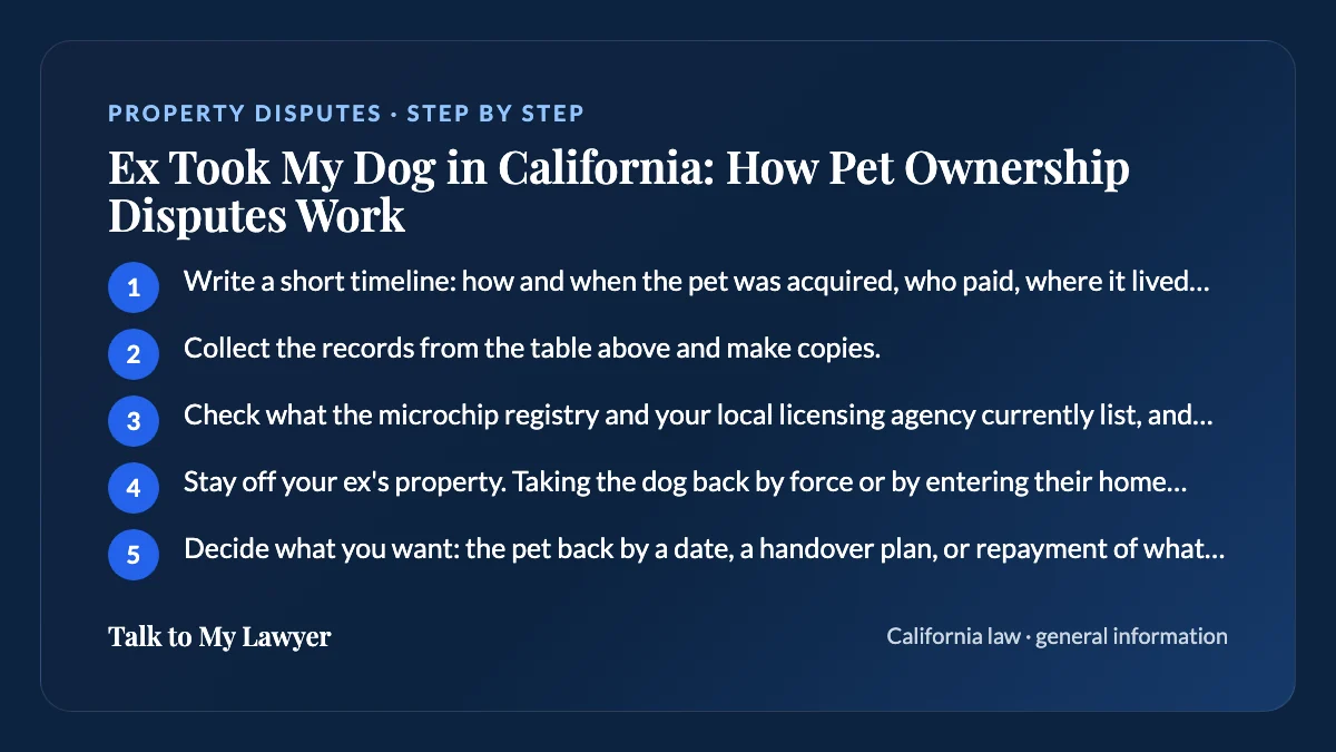 Step-by-step card: 5 steps, starting with "Write a short timeline: how and when the pet was acquired, who paid, where it lived, and…"
